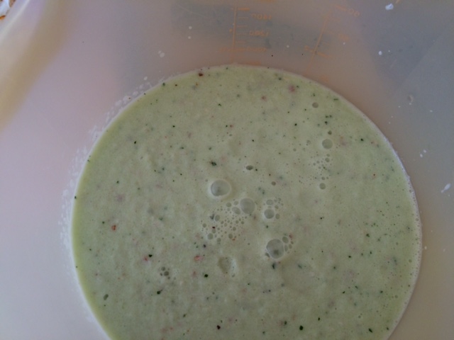 mixage-soupe-concombres-amap49