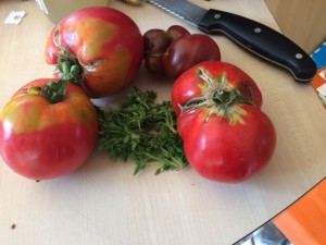 premières-tomates-grand-jardin-amap49